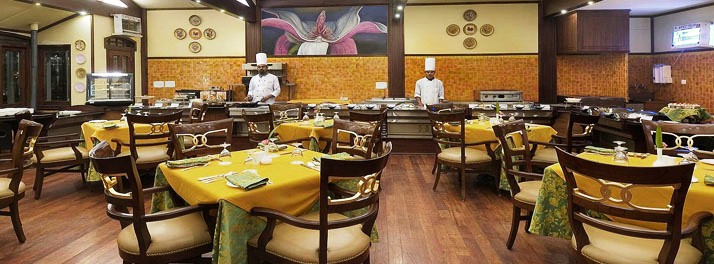 256/Mayfair - Darjeeling 05.jpg